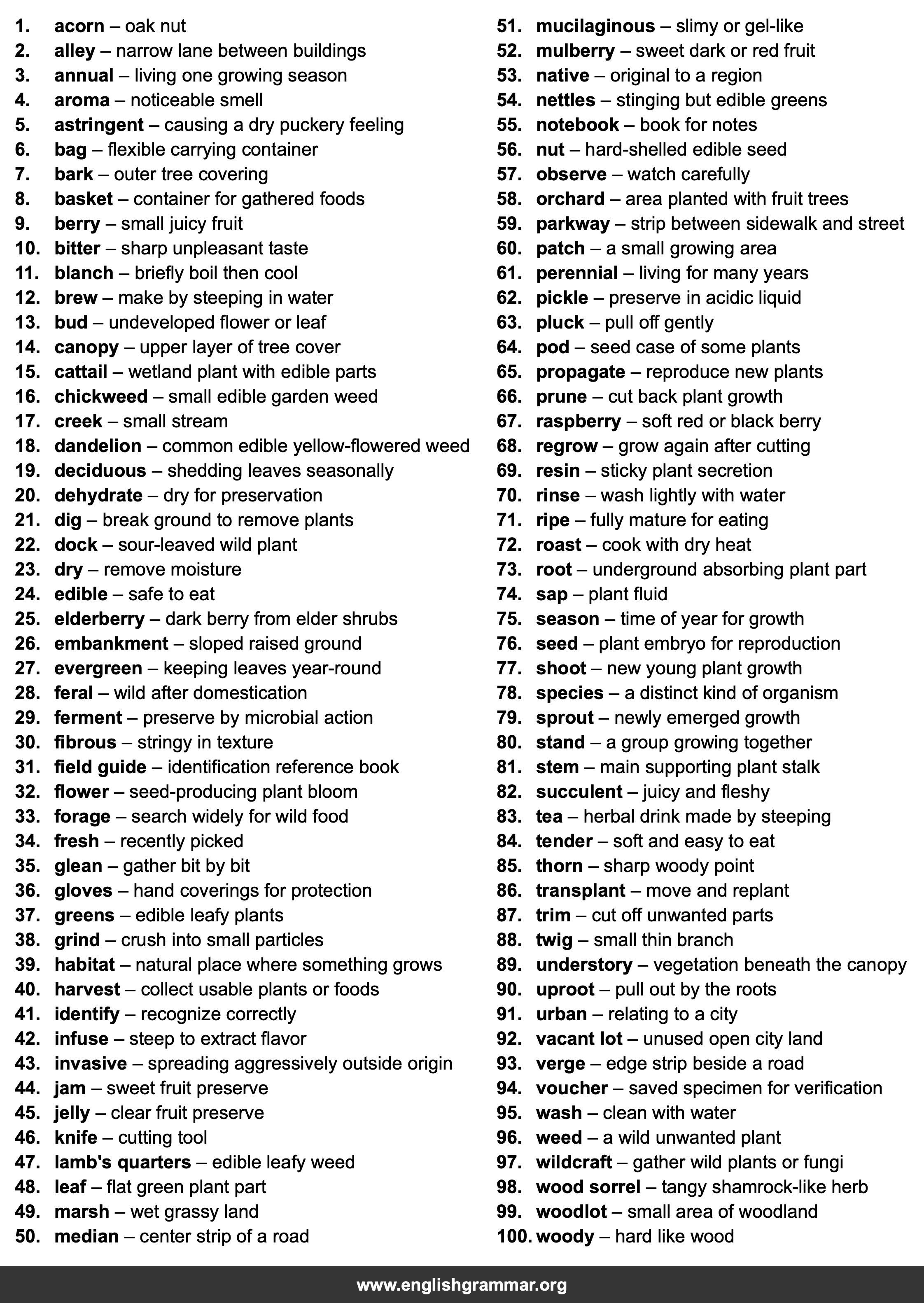 100 Words Every Urban Forager Should Know