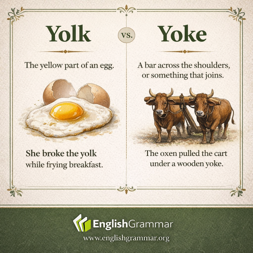 Yolk vs. Yoke