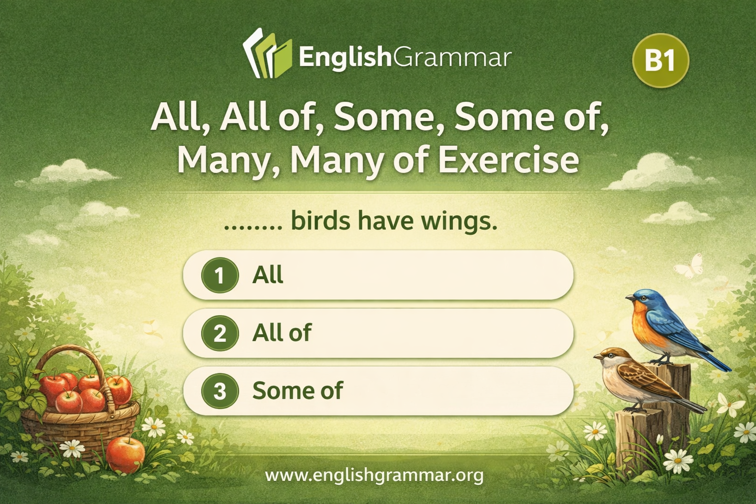 All, All of, Some, Some of, Many, Many of Exercise