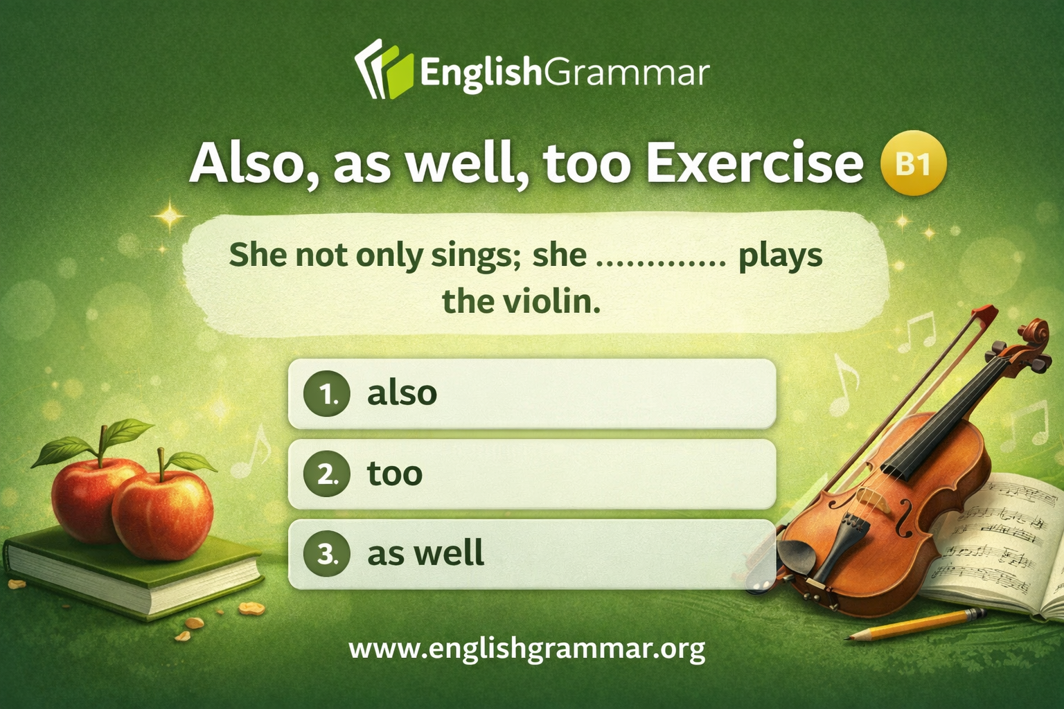 Also, as well, too Exercise