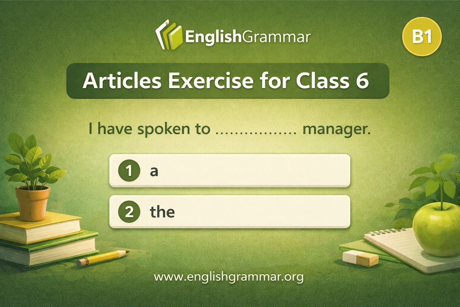 Articles Exercise for Class 6