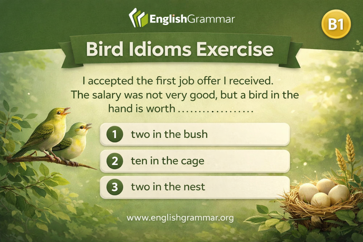 Bird Idioms Exercise