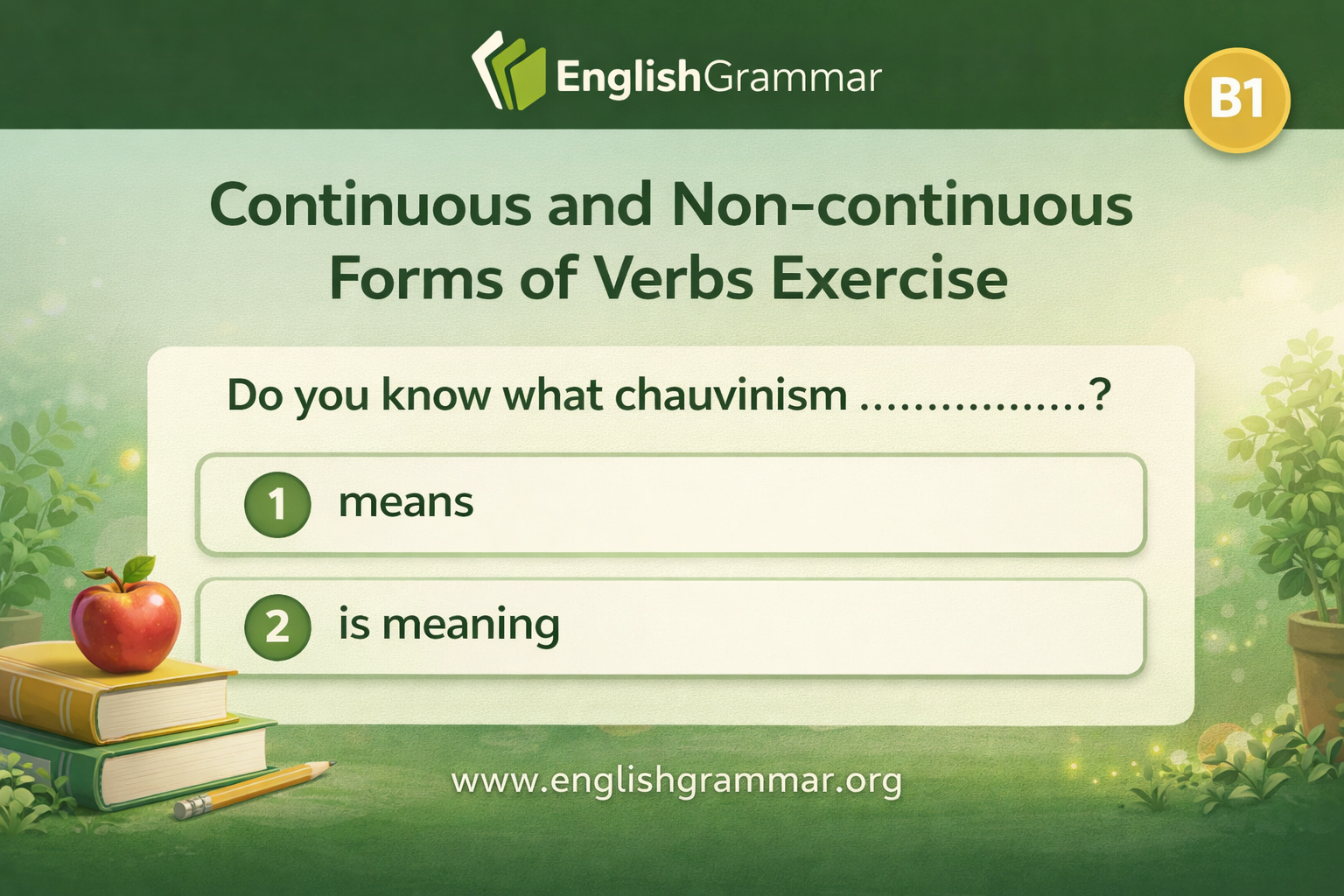Continuous and Non-continuous Forms of Verbs Exercise