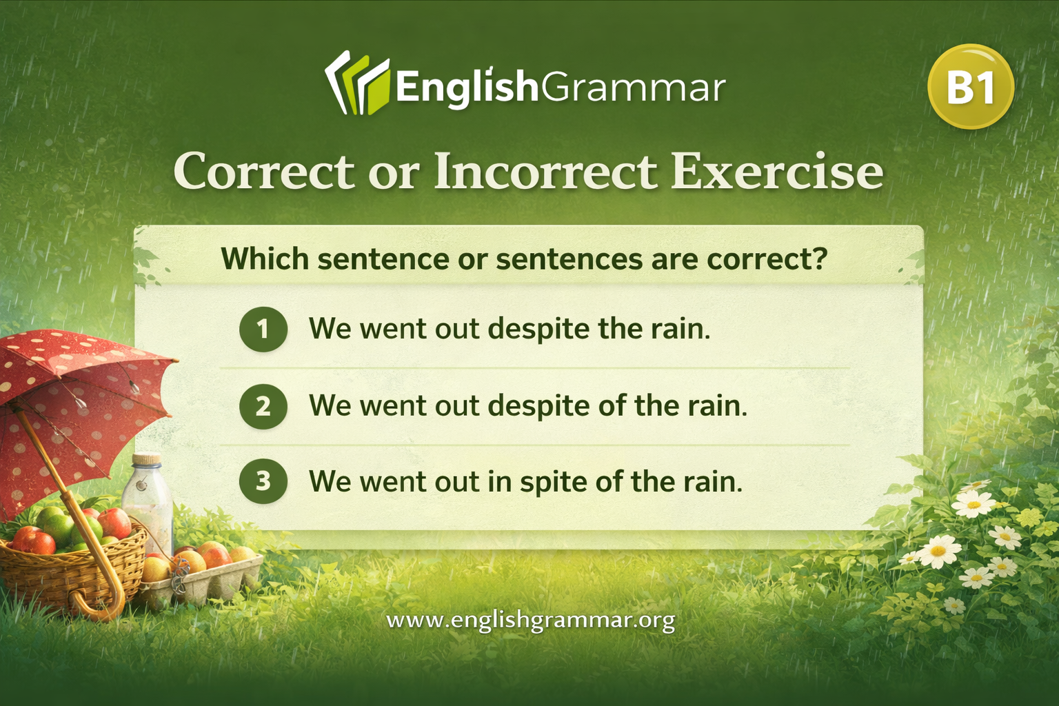 Correct or Incorrect Exercise