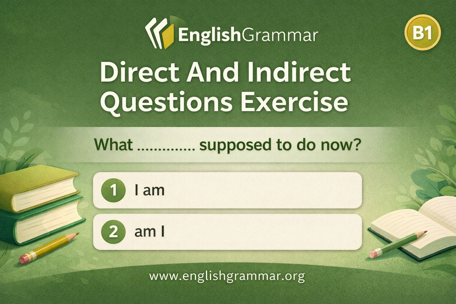 Direct And Indirect Questions Exercise