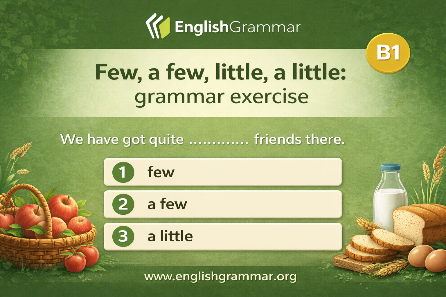 Only Few Few, a few, little, a little: grammar exercise