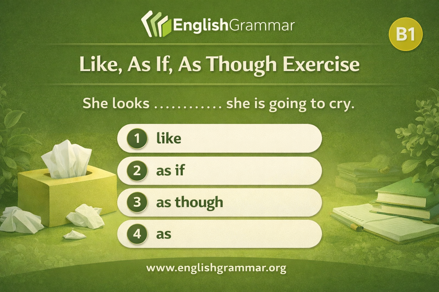 Like, As If, As Though Exercise