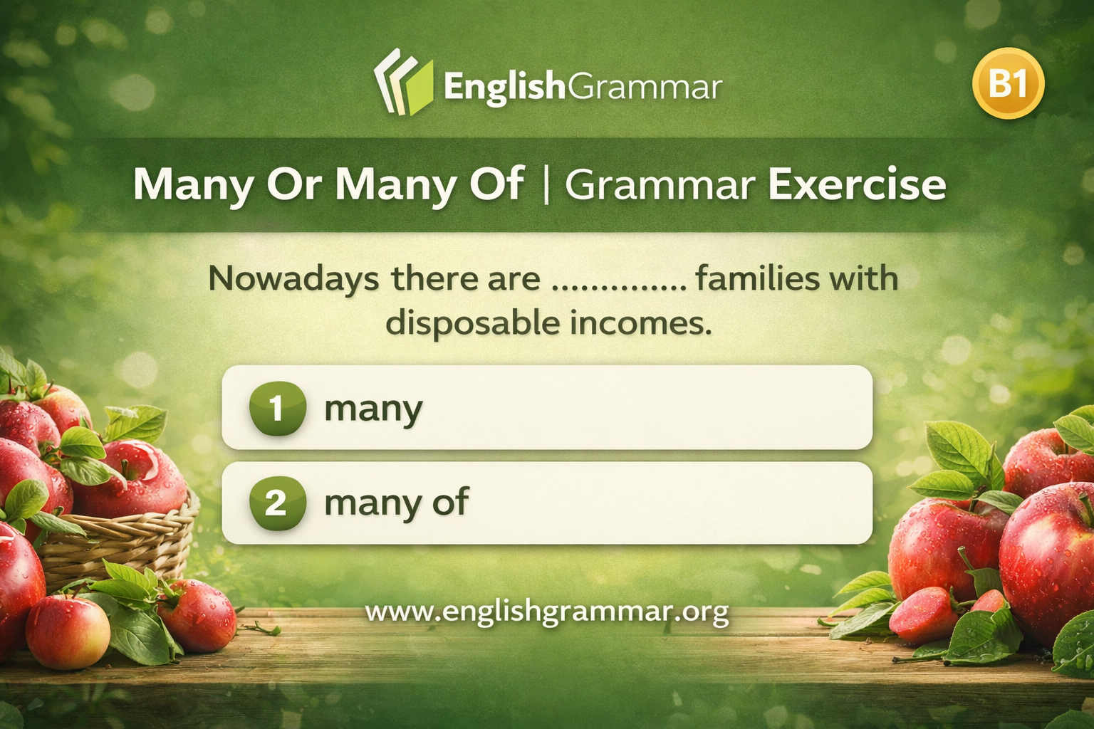 Many Or Many Of | Grammar Exercise