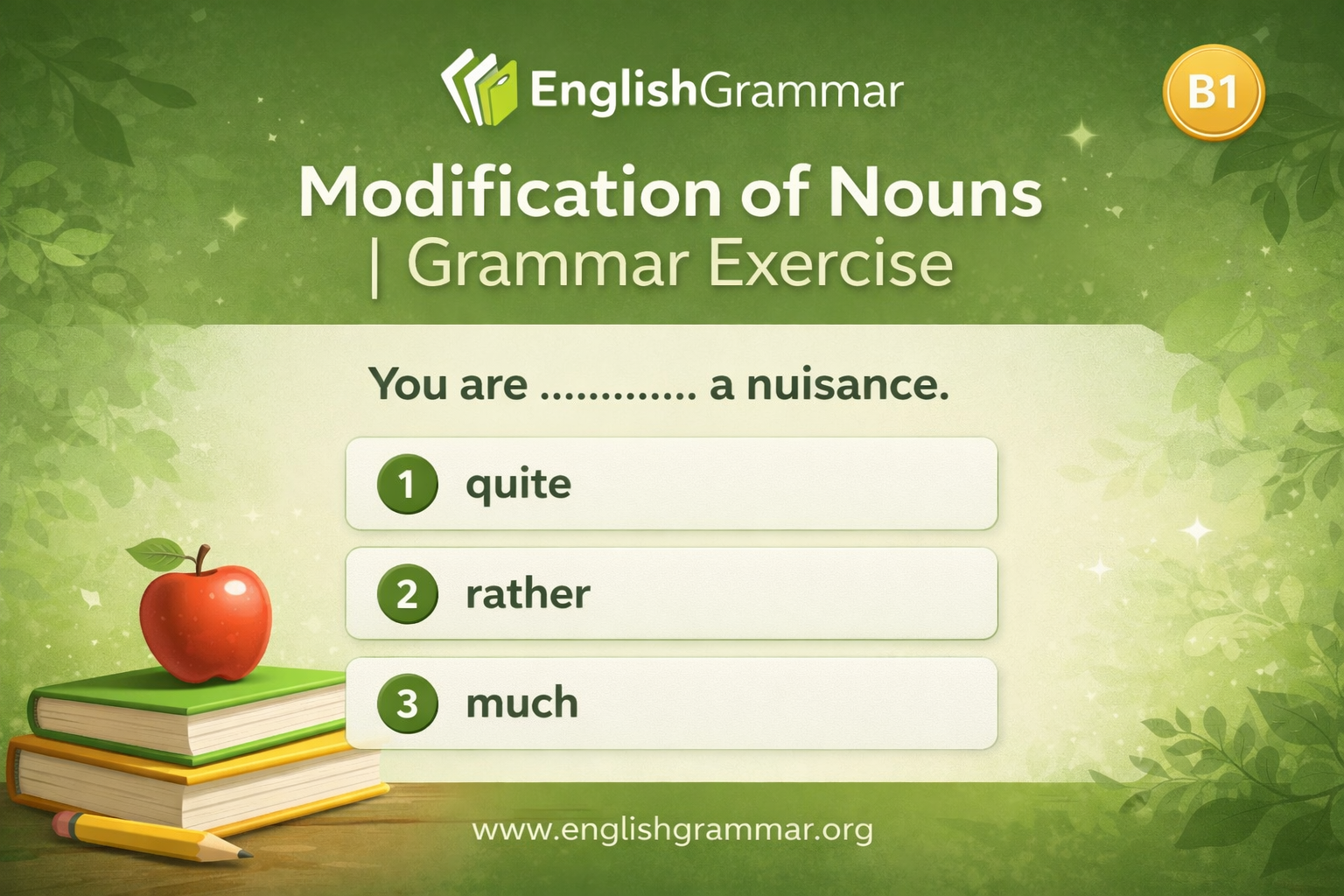 Modification Exercises Syntax Modification of Nouns | Grammar Exercise