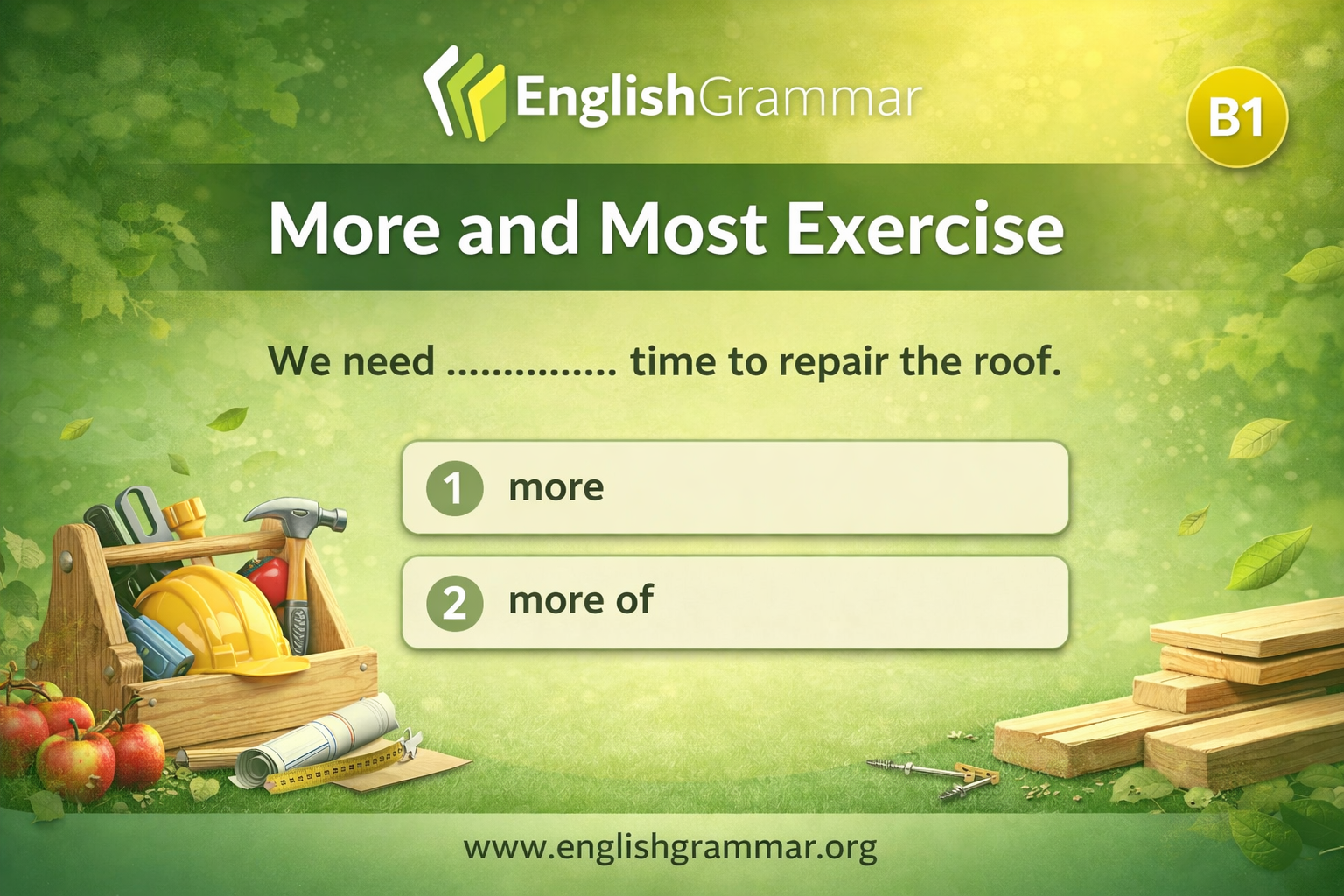 More and Most Exercise
