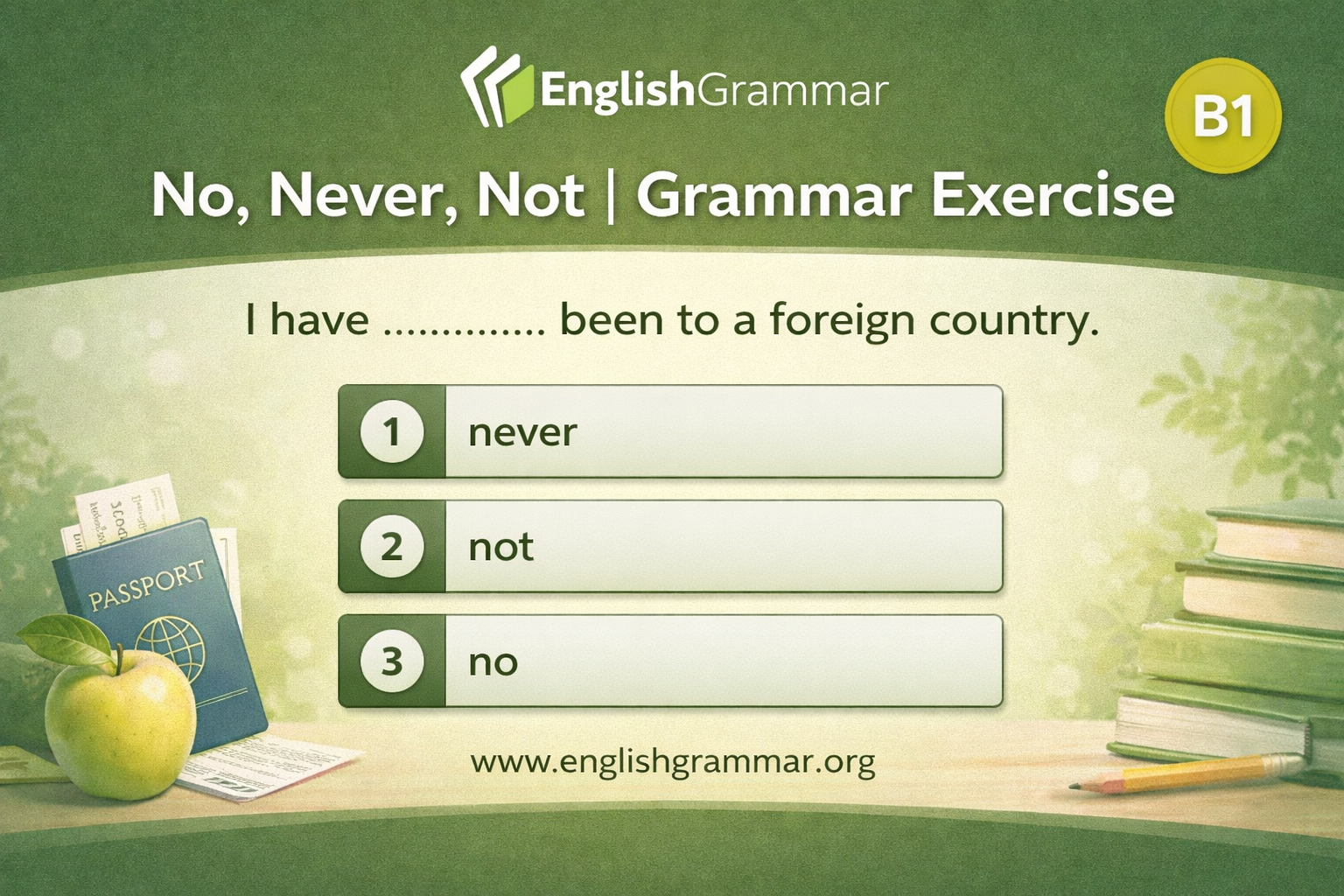 No, Never, Not | Grammar Exercise