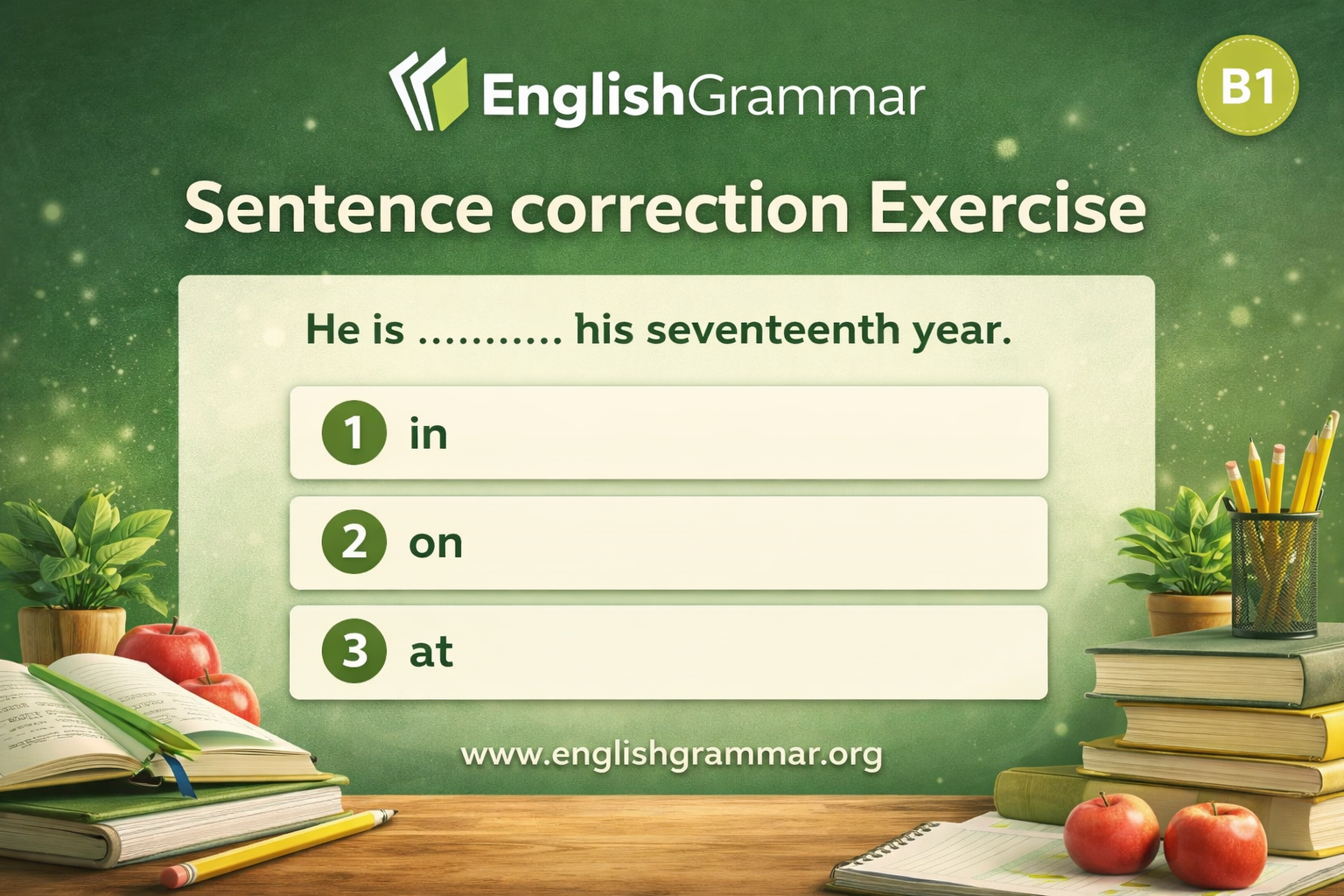 Sentence correction Exercise