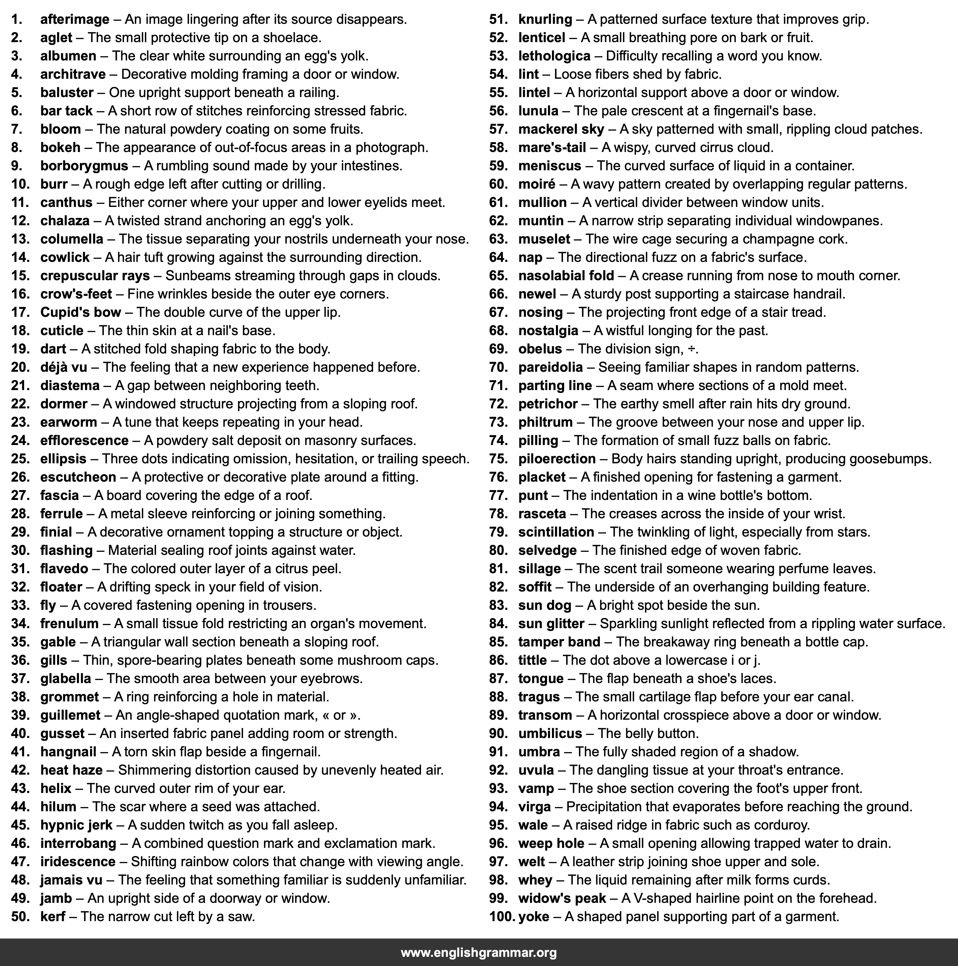 100 Words for Things You’ve Noticed Your Whole Life