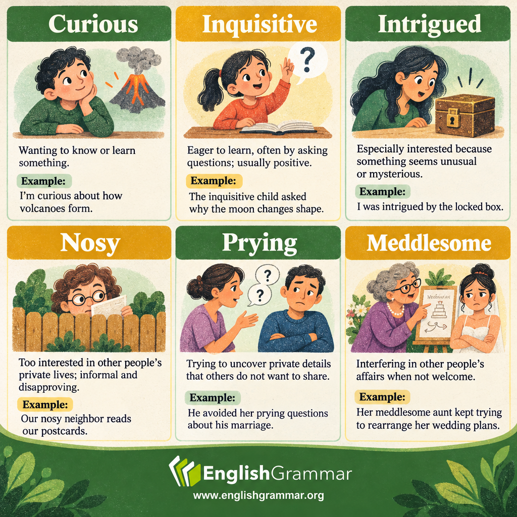 Curious vs. Inquisitive vs. Intrigued vs. Nosy vs. Prying vs. Meddlesome