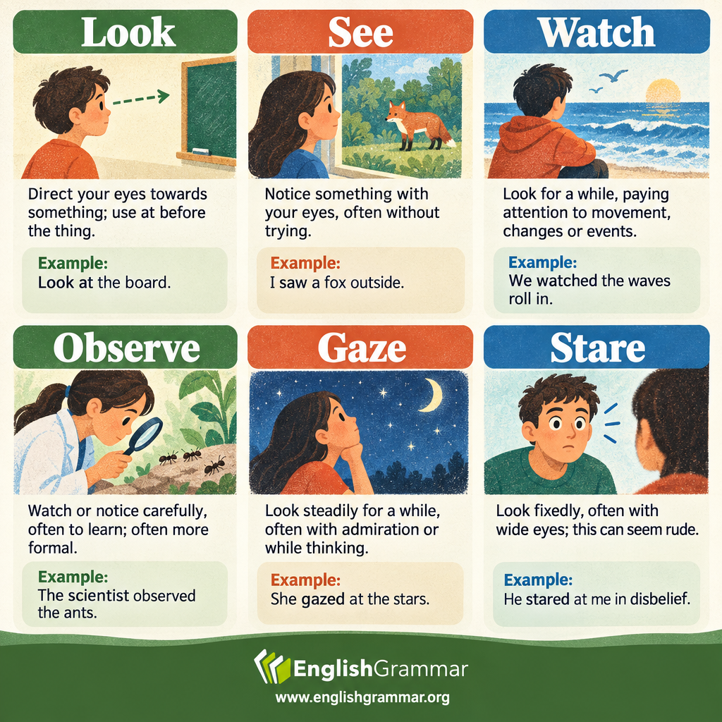 Look vs. See vs. Watch vs. Observe vs. Gaze vs. Stare