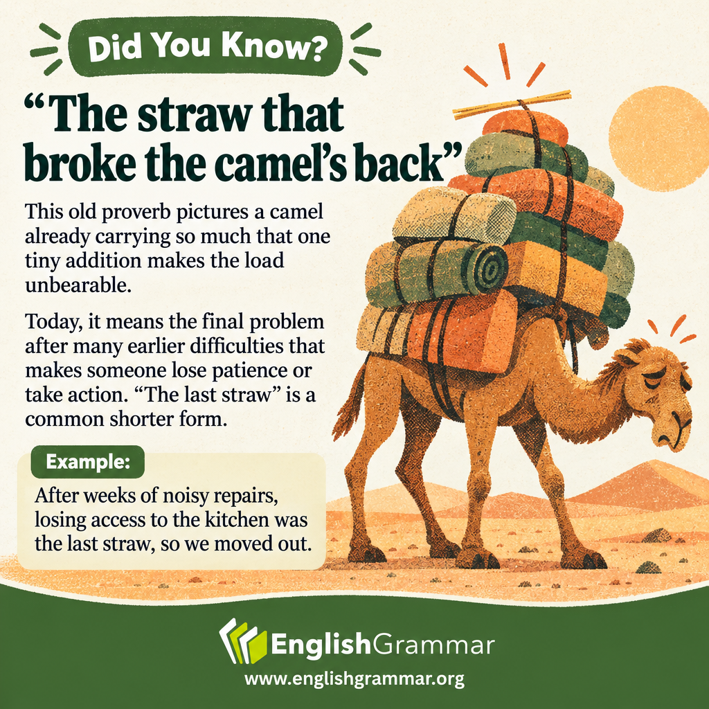 The origin of "the straw that broke the camel’s back"